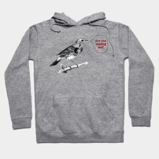 Are you Cussing me? Bird Hoodie